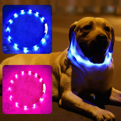 Fashion&cool two-pack glow dog collars visible at dusk for safer night walks