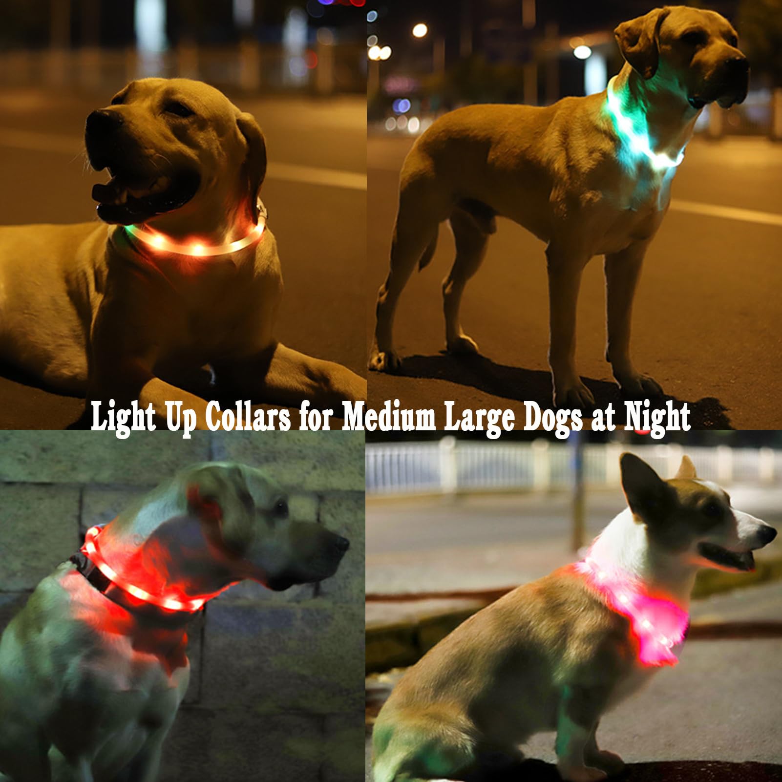 Fashion&cool USB-rechargeable dog collar shown charging for extended illumination