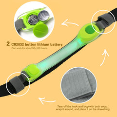 Fashion&cool LED light on leash enables safer evening walks.