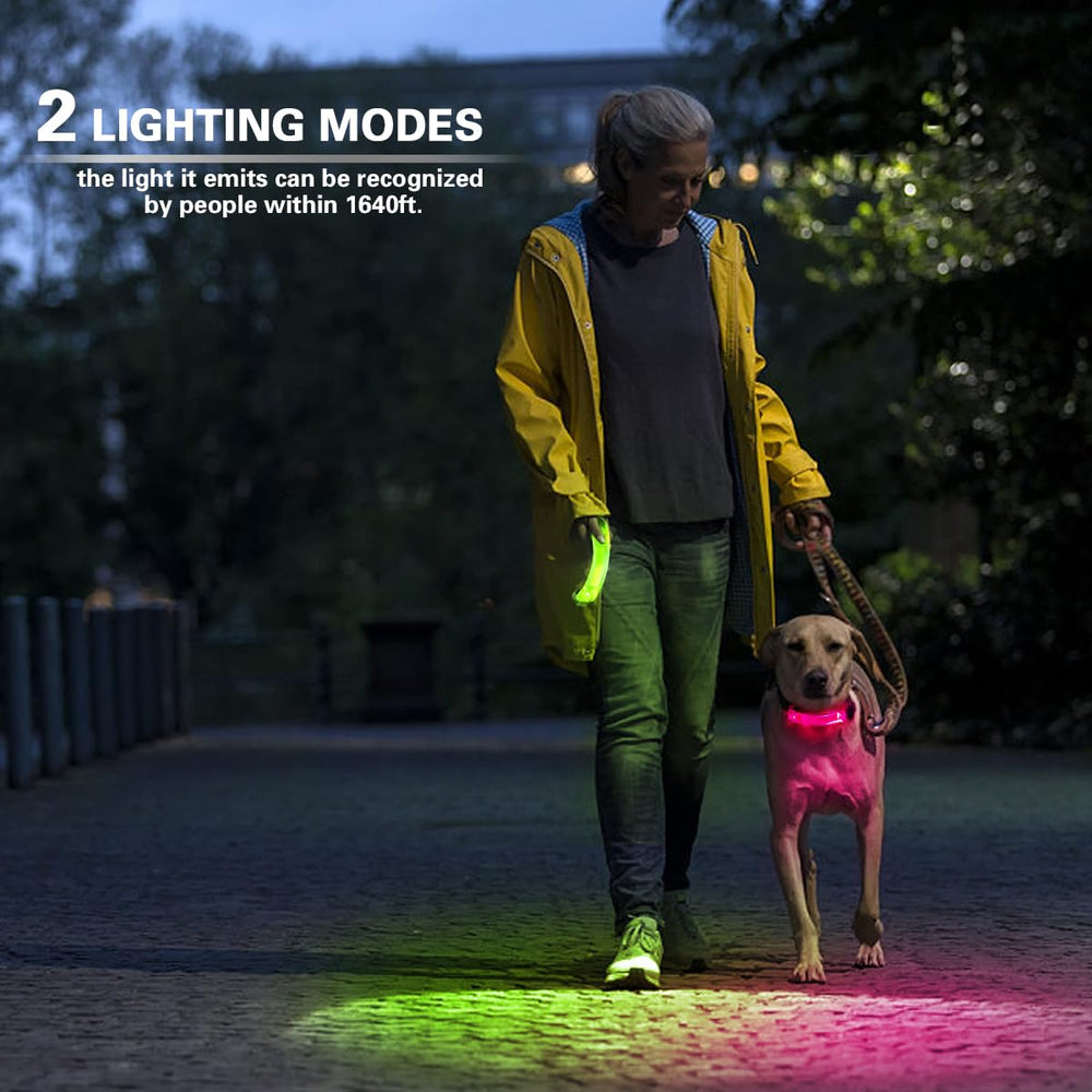 Fashion&cool safety light helps drivers notice dogs.