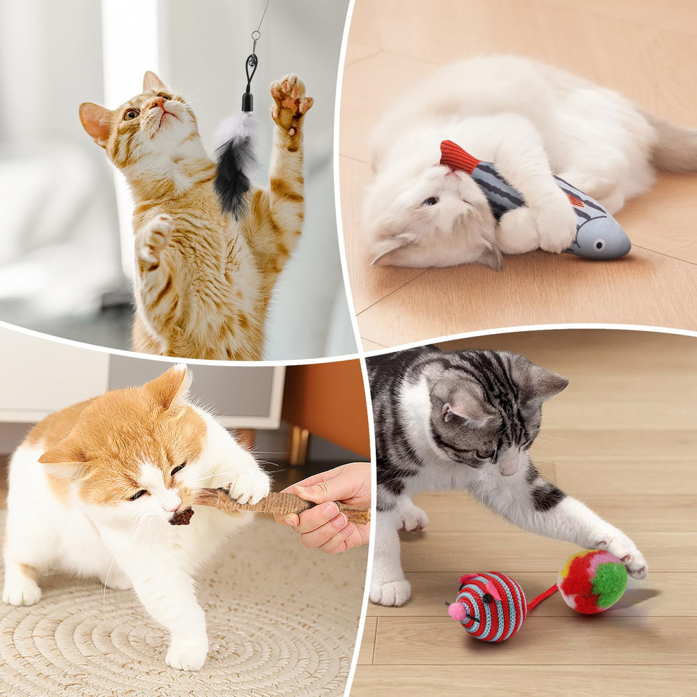 Fashion's Talk feather toy sparks fluttery chase sessions.
