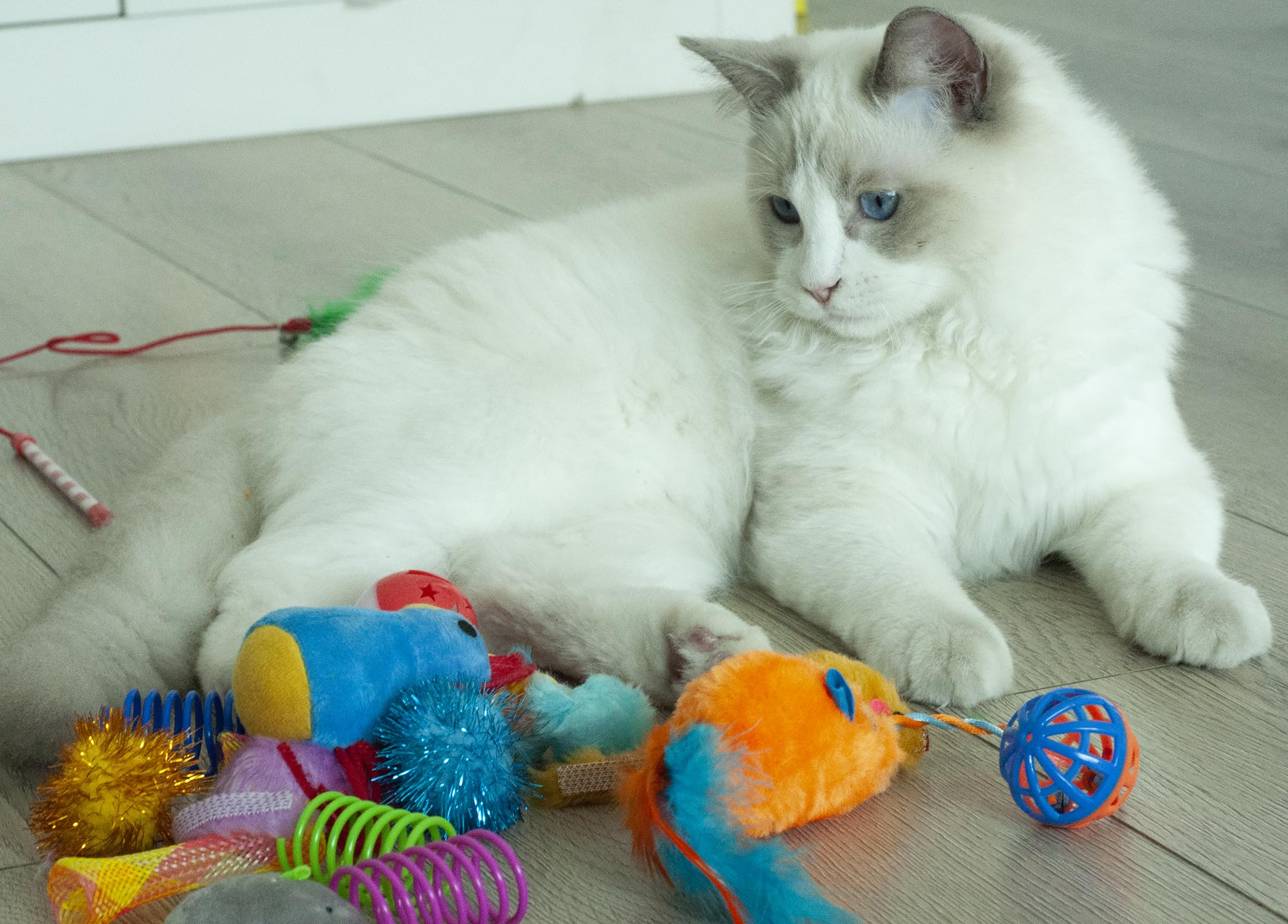 Fashion's Talk cat toys crinkle ball creates attention-grabbing sound-driven play