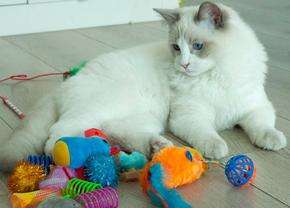 Fashion's Talk cat toys crinkle ball creates attention-grabbing sound-driven play