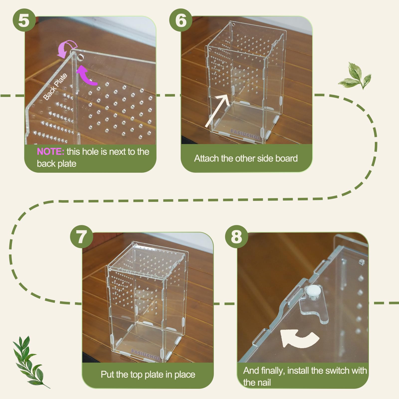 FASIUCHOI compact habitat is ideal for hermit crabs and small bugs on shelves.
