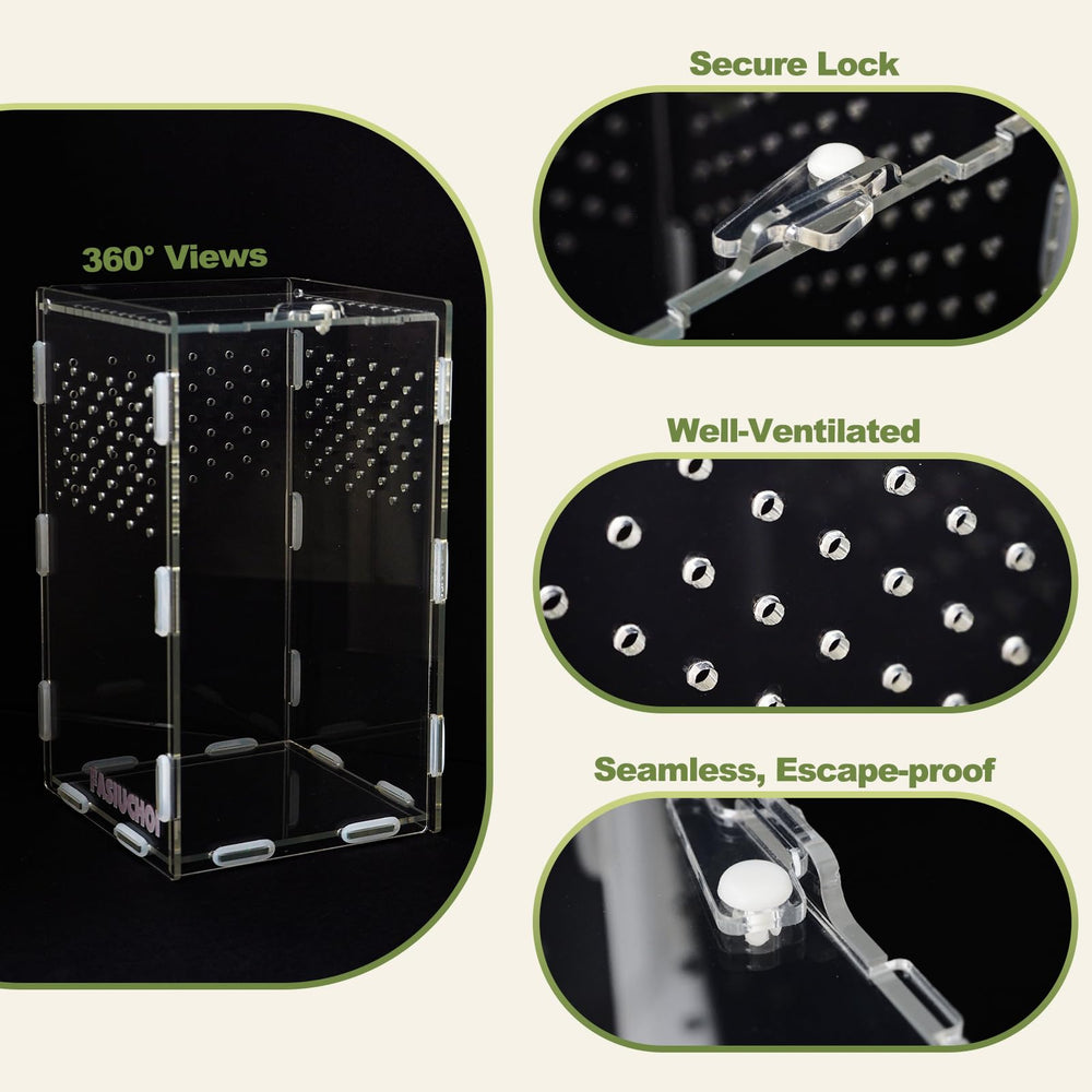 FASIUCHOI escape-proof lid ensures safe, observation-friendly habitat for small pets.