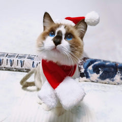 fast and good polar scarf providing soft warmth for pets