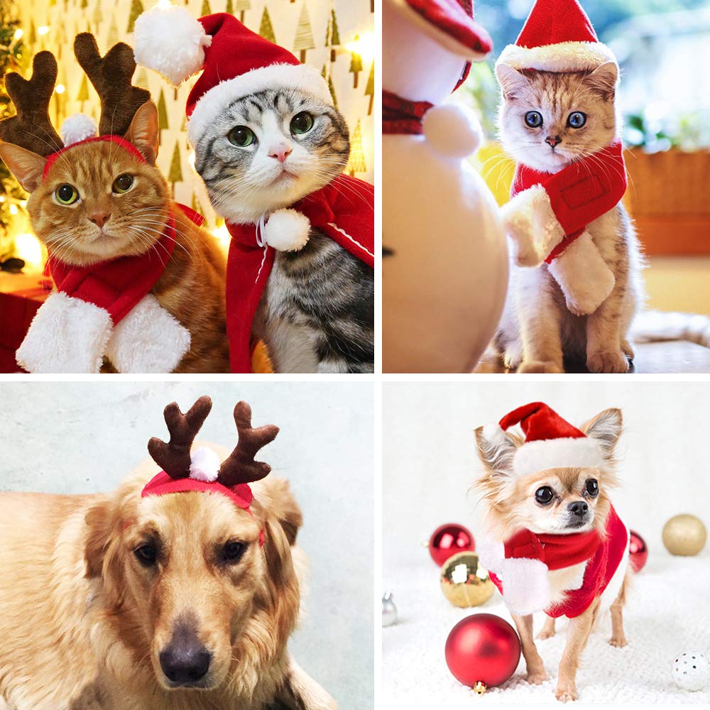 fast and good reindeer hat on a pet for holiday charm