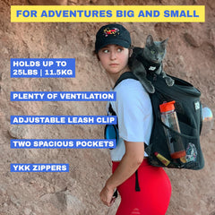 Fat Cat backpack carrier detachable screen offers flexible viewing and ventilation options.