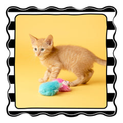 Fat Cat Fluff Bunnies blue side view, ideal for batting and chasing