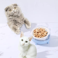 FattyBee multi-pet feeding station with liners demonstrates efficient feeding setup.