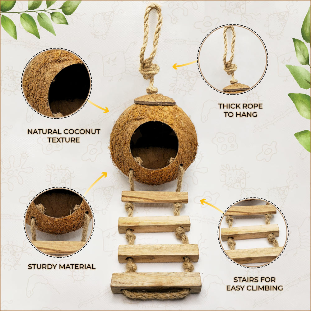Favozio coconut hut with sticky wall hook for secure terrarium mounting.