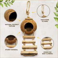 Favozio coconut hut with sticky wall hook for secure terrarium mounting.