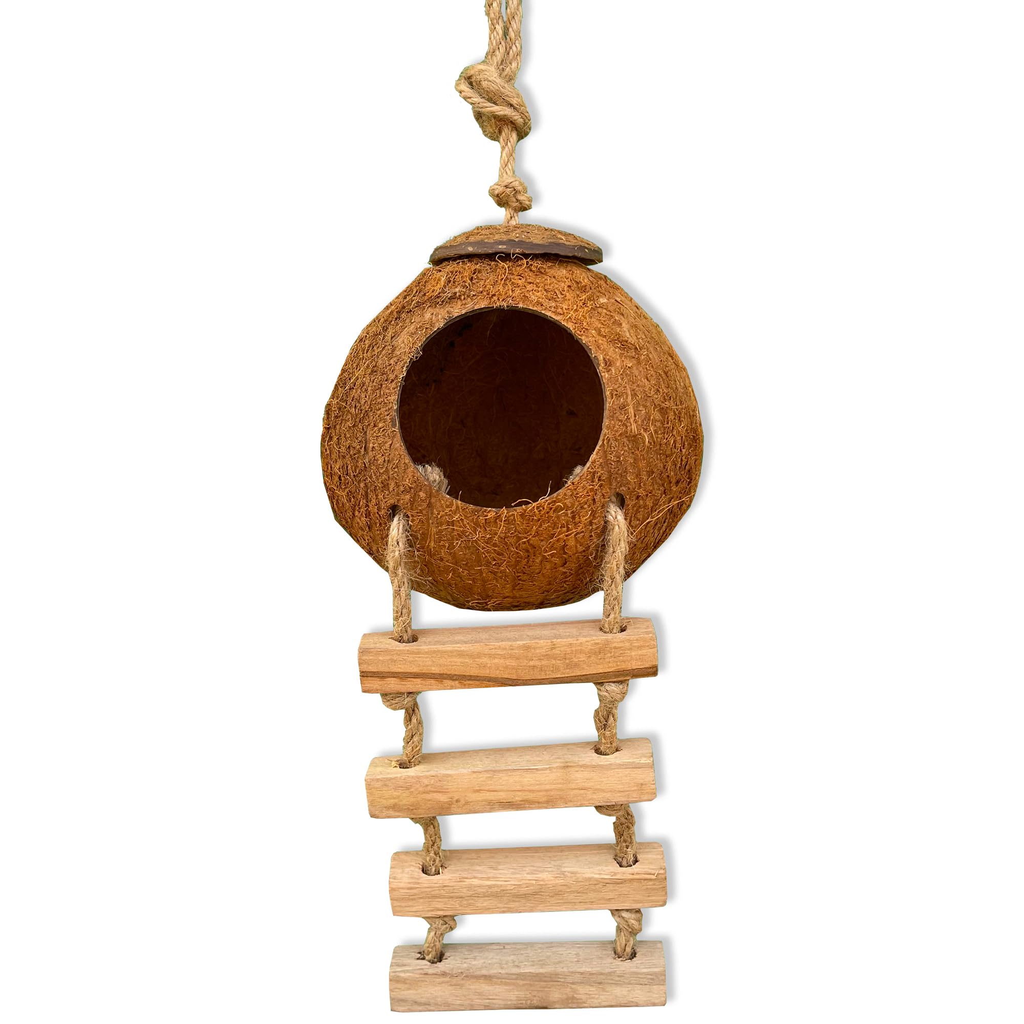 Favozio coconut-shell hut built from durable, rust-free material for long-lasting terrarium decor.