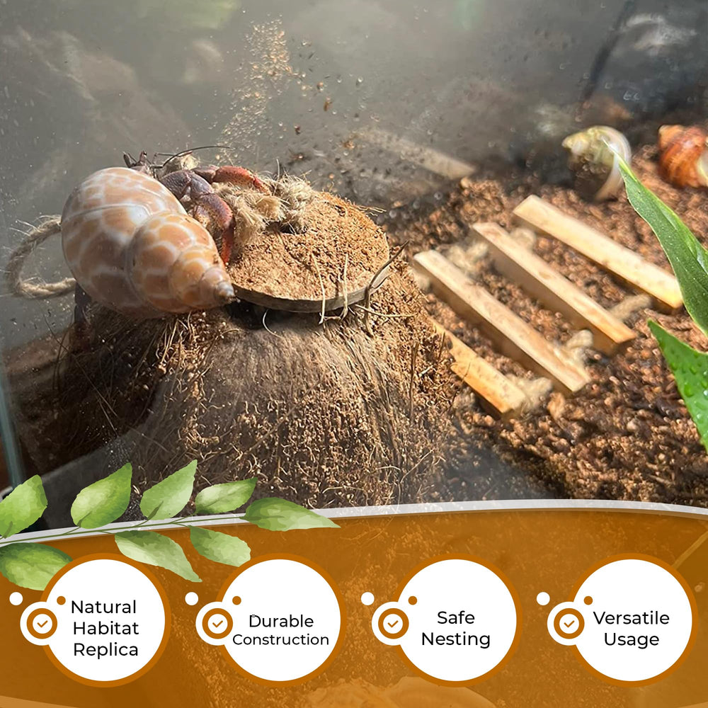 Favozio 4.3-in diameter coconut hut suits floor placement or ceiling hanging for versatile enclosure design.