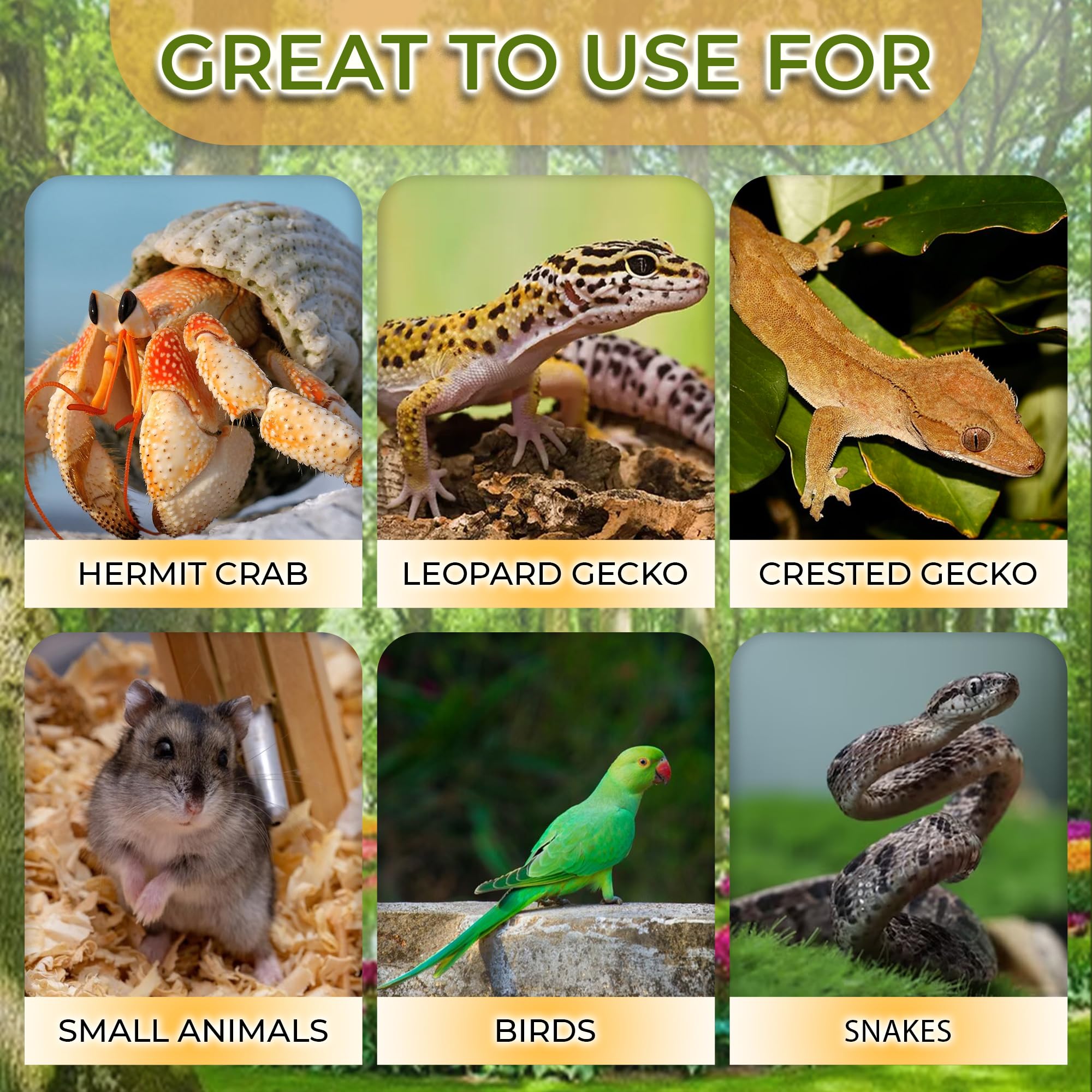 Favozio coconut shell gecko tank accessory suits small habitats as natural retreat.