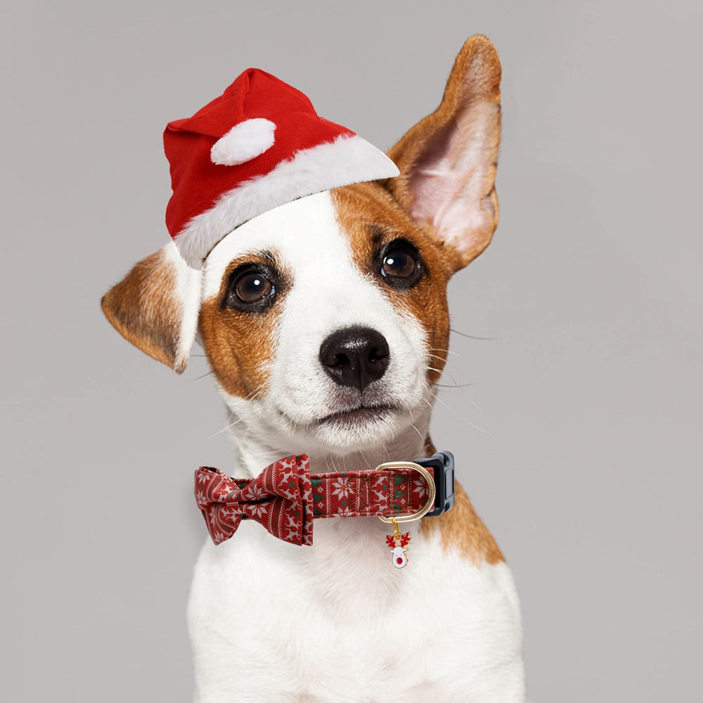 Faygarsle adjustable collar fits growing dogs with secure, comfy wear.