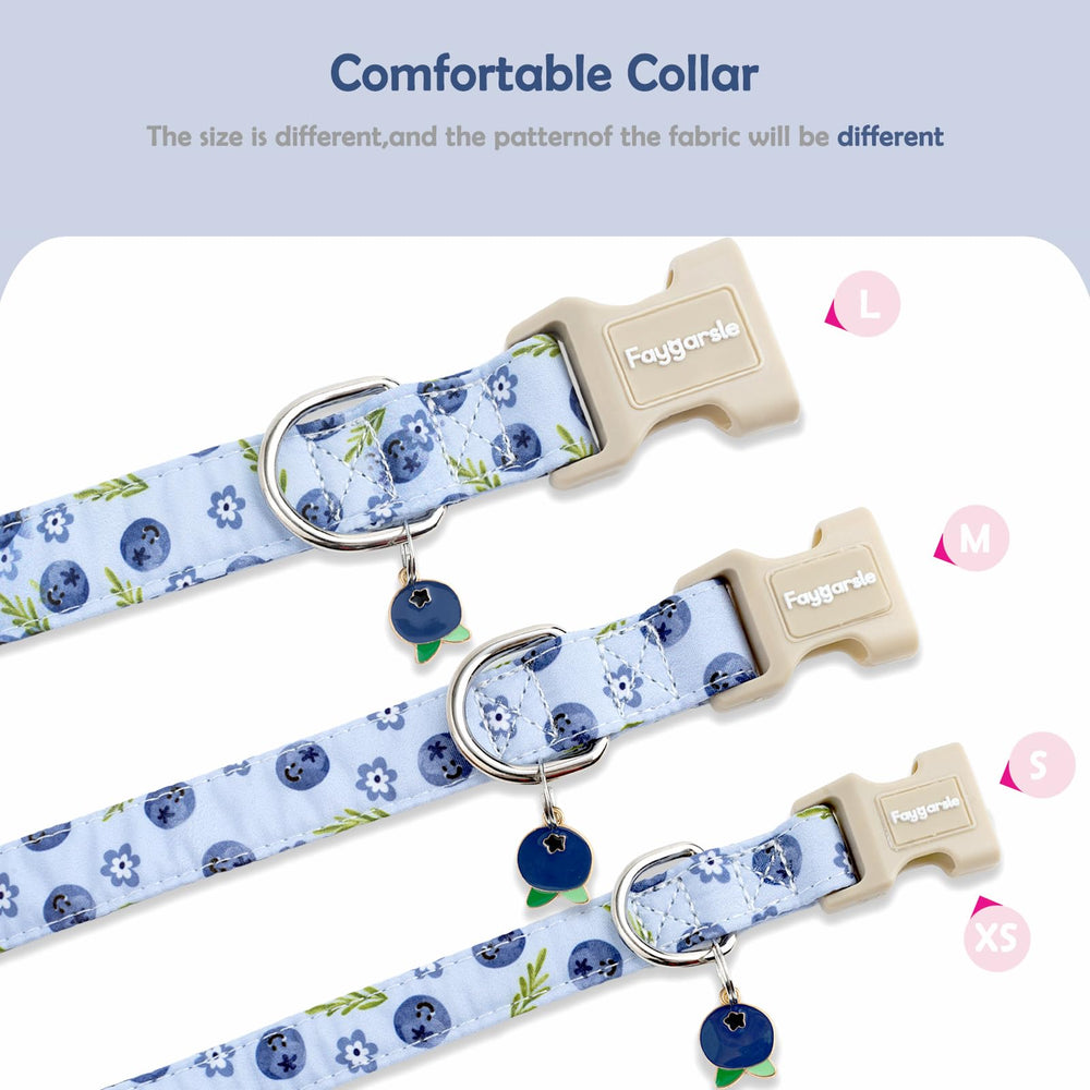 Faygarsle blueberry pattern collar photographed in summer light for sunny outings