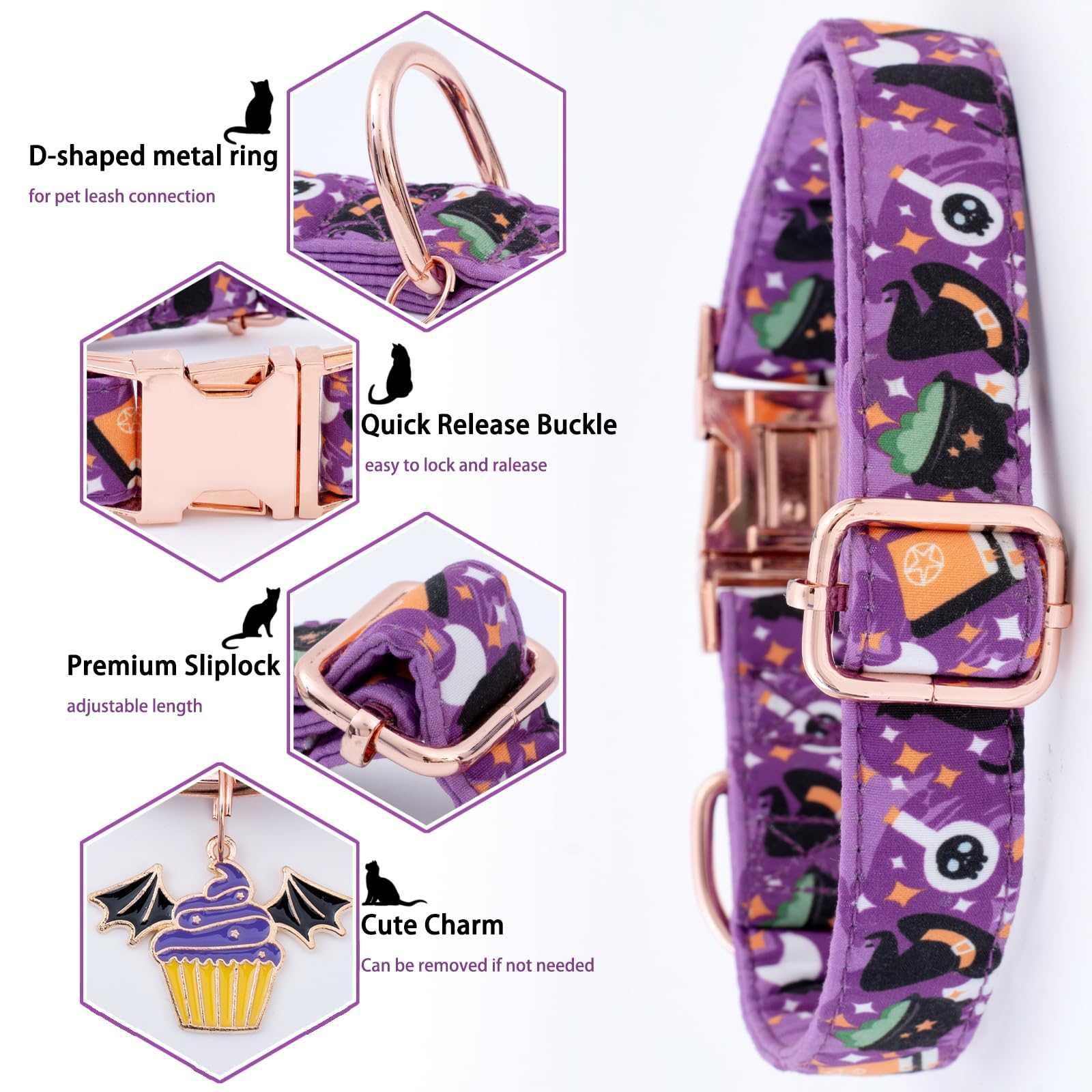 Faygarsle bow-tie collar shows durable D-ring and secure fit in action.