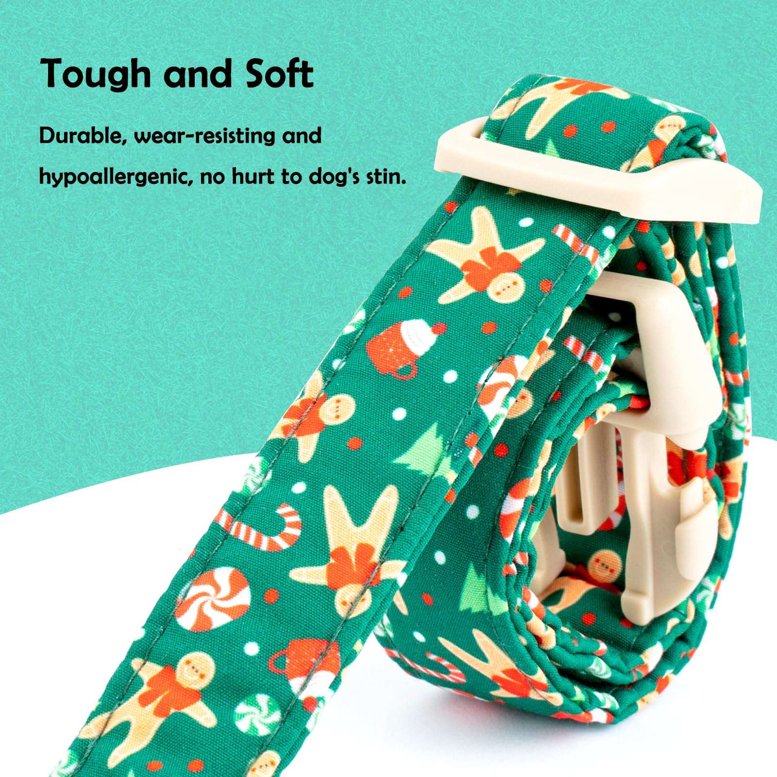 Faygarsle collar shows adjustable fit for multiple dog sizes.