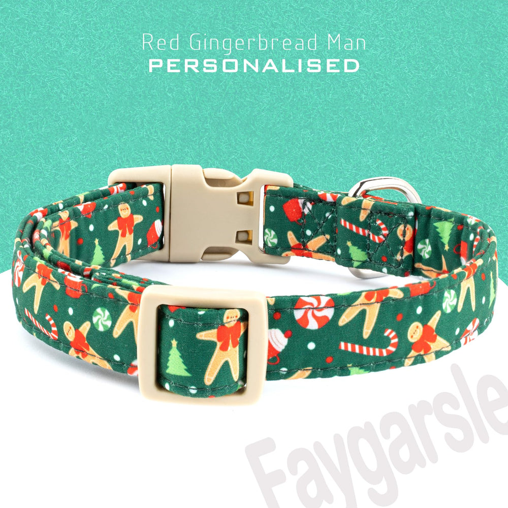 Faygarsle collar close up shows metal D-ring and secure buckle for leash attachment.