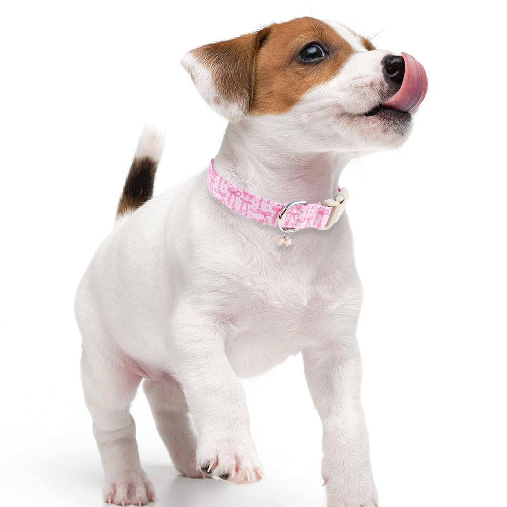 Faygarsle cute pink bow collar enhances daily photos and outings