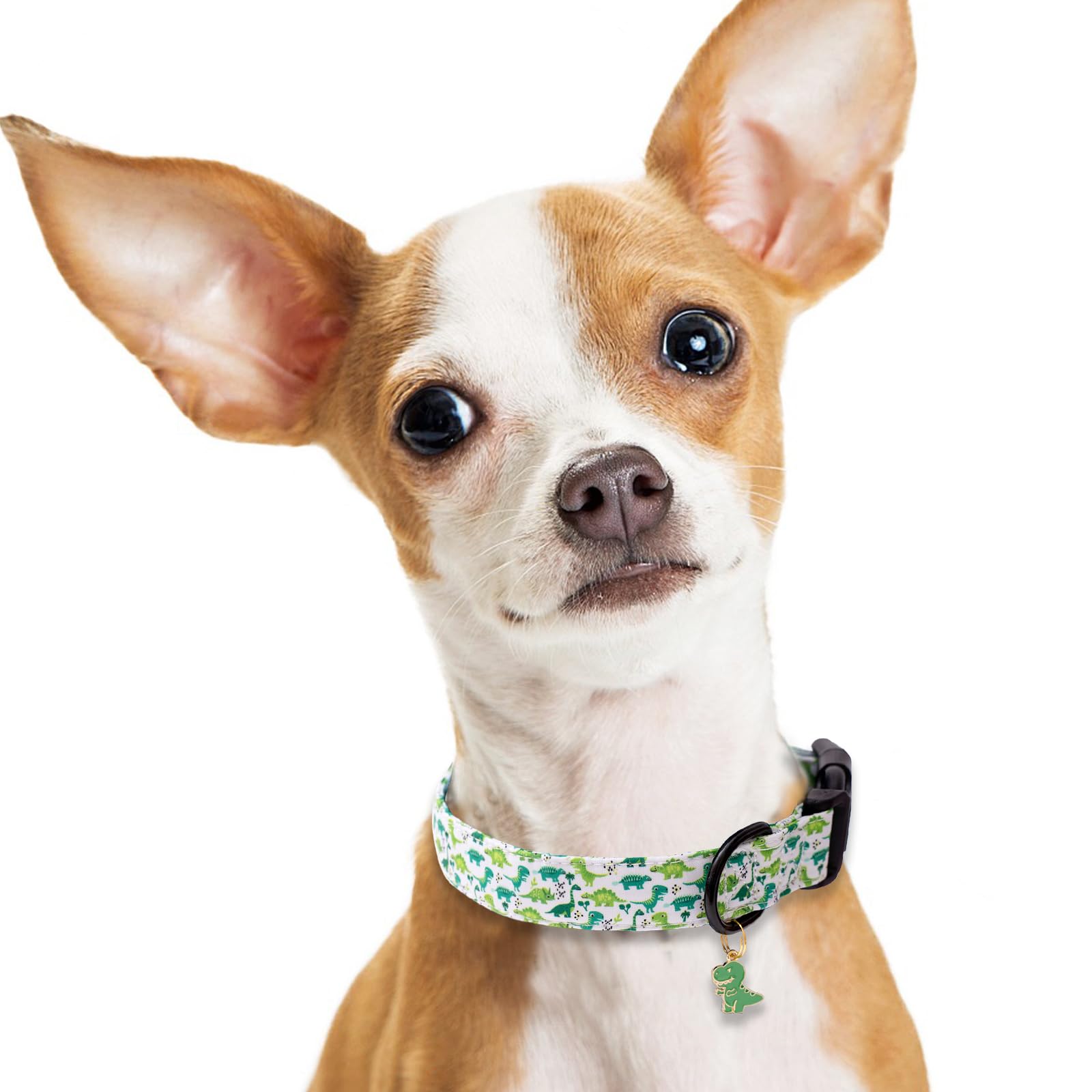 Faygarsle durable collar supports daily adventures with reliable fit.