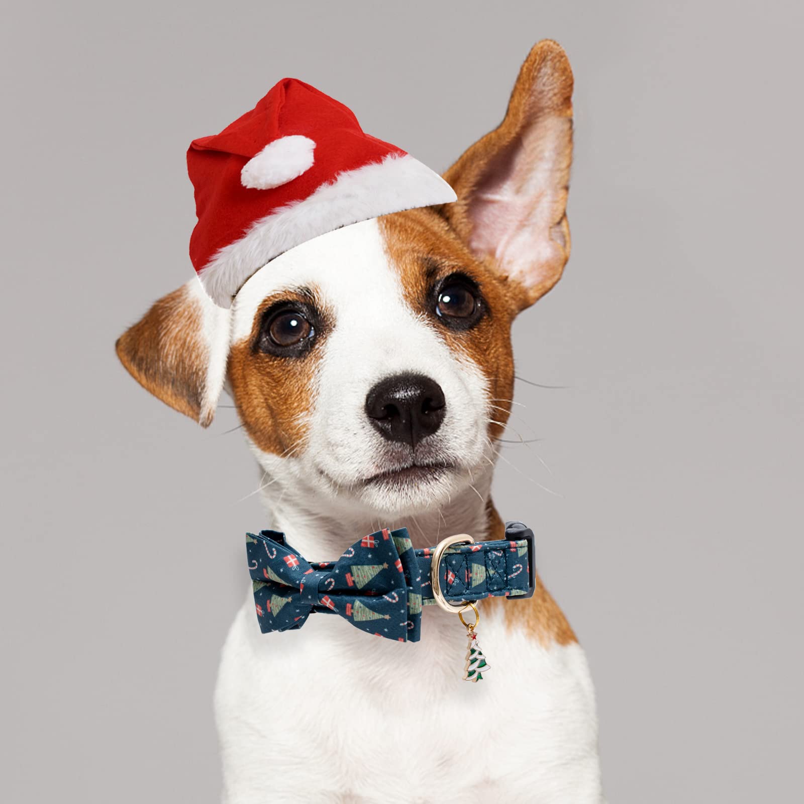 Faygarsle hand-sewn bow-tie collar adds removable festive charm.