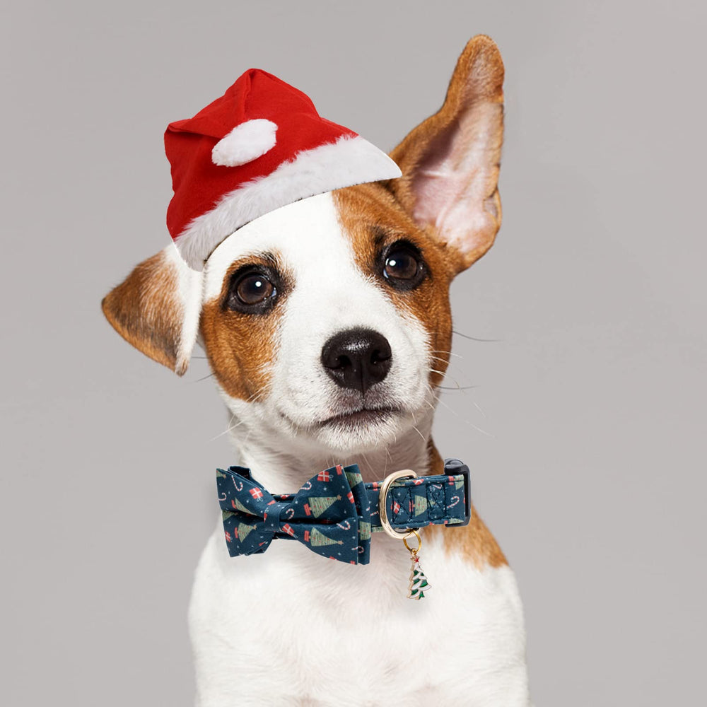Faygarsle hand-sewn bow-tie collar adds removable festive charm.