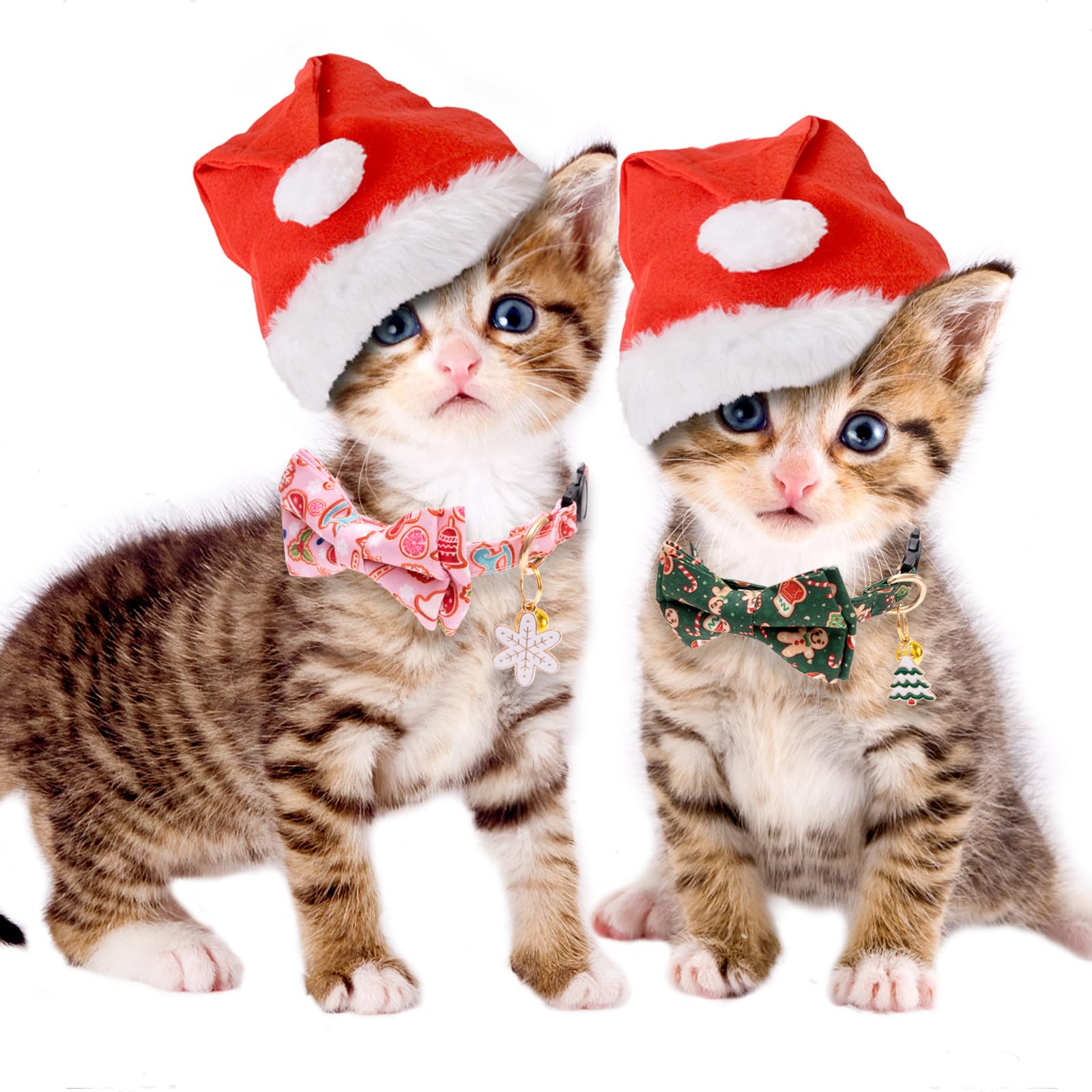 Faygarsle handmade bowtie detail adds charming style to cats.