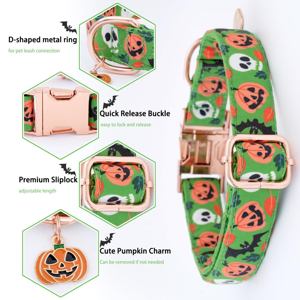 Faygarsle skull-bat-pumpkin-pattern highlights Halloween style suitable for events.