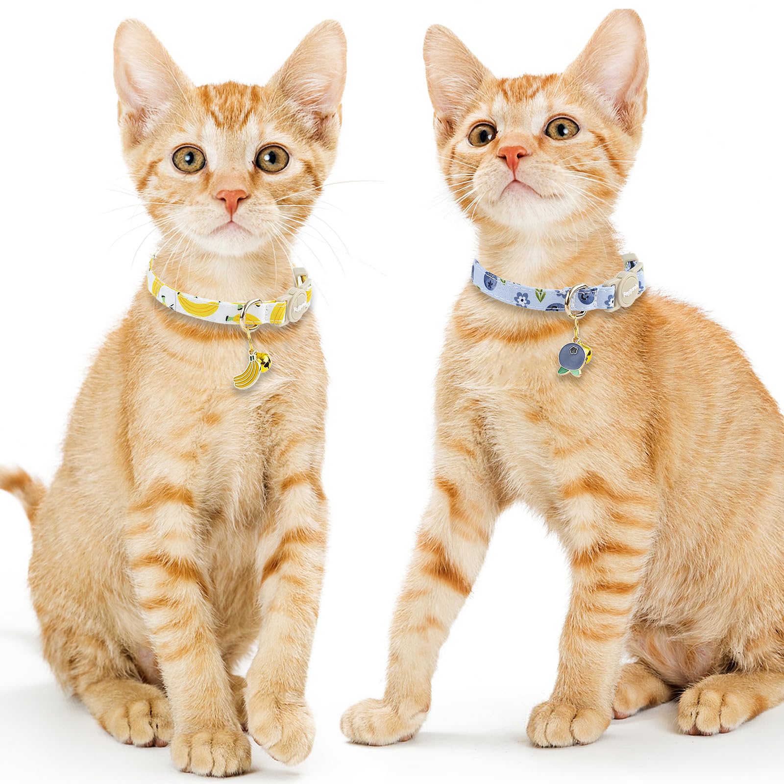 Faygarsle spring summer design collar enhances visibility during outdoor play
