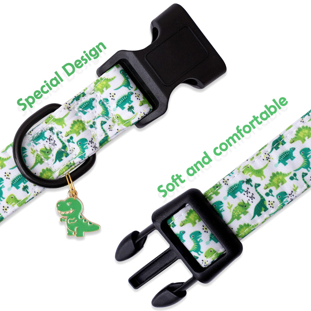 Faygarsle welded D-ring collar ensuring secure leash attachment.