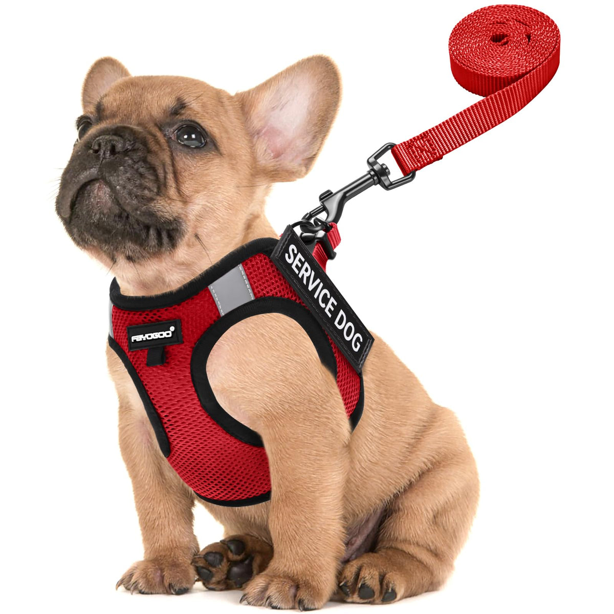 Arnés Fayogoo para perro pequeño, ligero y cómodo para paseos diarios.