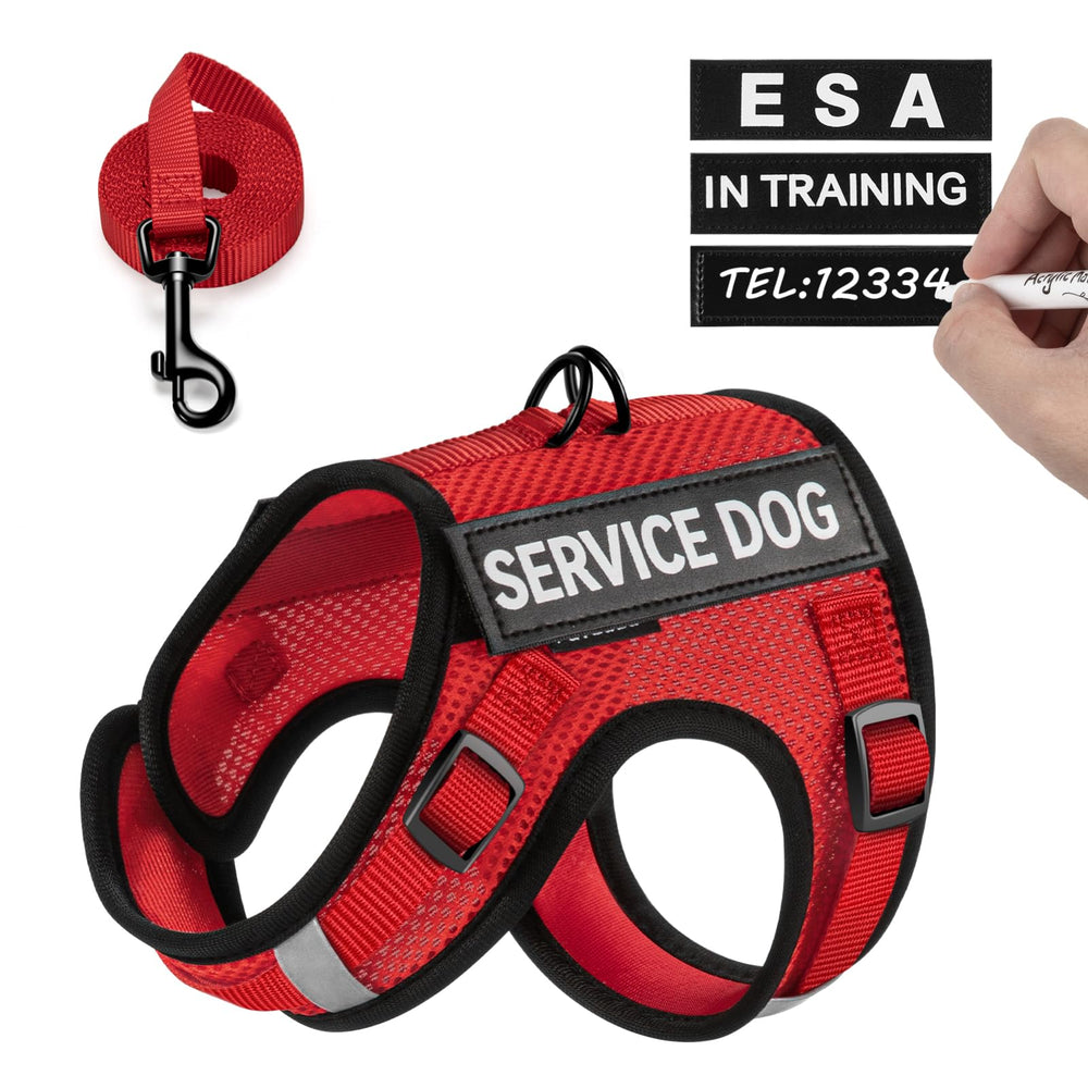 FAYOGOO easy-on-off vest—quick buckle closures for calm, stress-free harnessing.