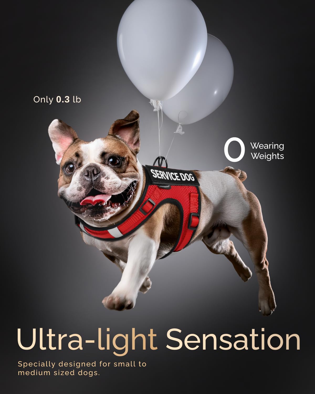 FAYOGOO service dog vest patches kit—clear status markers for training and public outings.