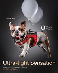FAYOGOO service dog vest patches kit—clear status markers for training and public outings.