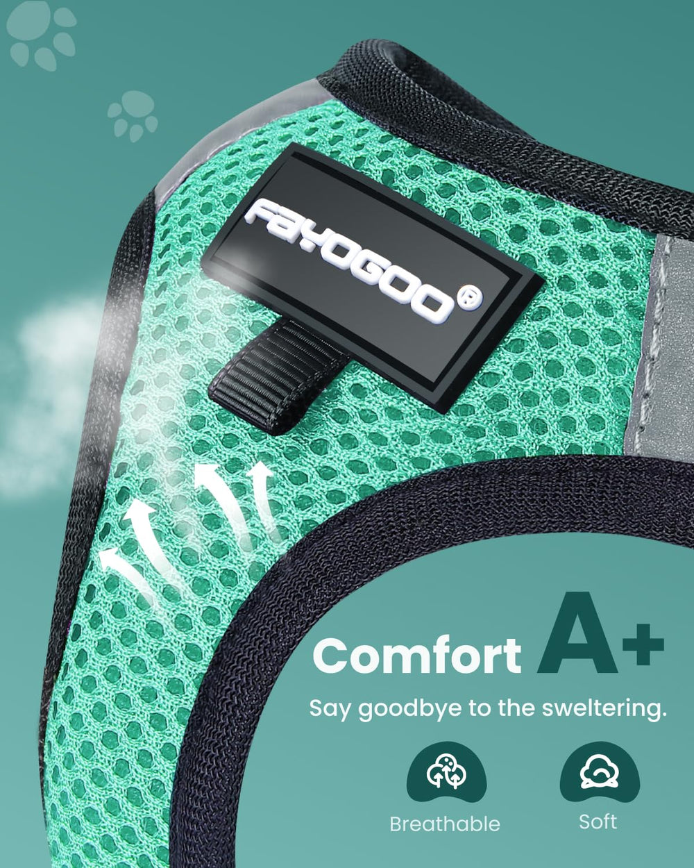 FAYOGOO step-in harness on cat for quick, stress-free wearing