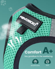 FAYOGOO step-in harness on cat for quick, stress-free wearing