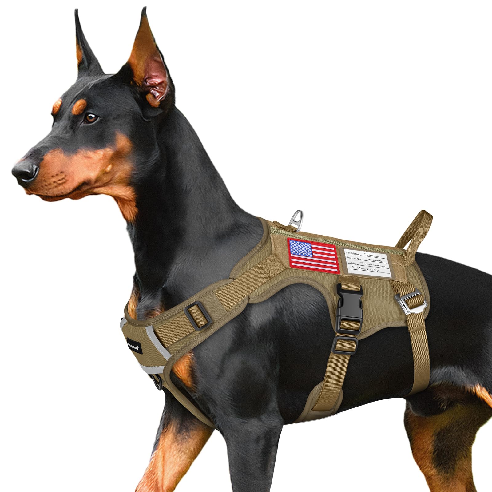 FAYOGOO tactical dog harness large front view shows secure fit for safe walks.