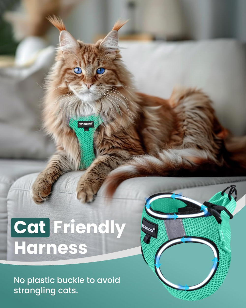 FAYOGOO ultra-light air-mesh harness keeps cats cool during adventures