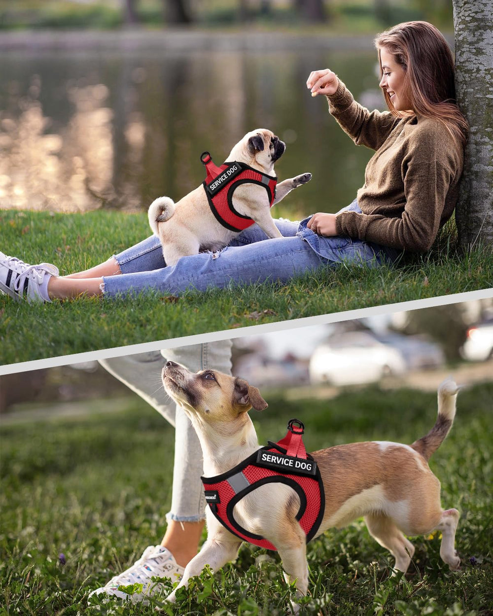FAYOGOO vest with reflective straps enhances night visibility on walks