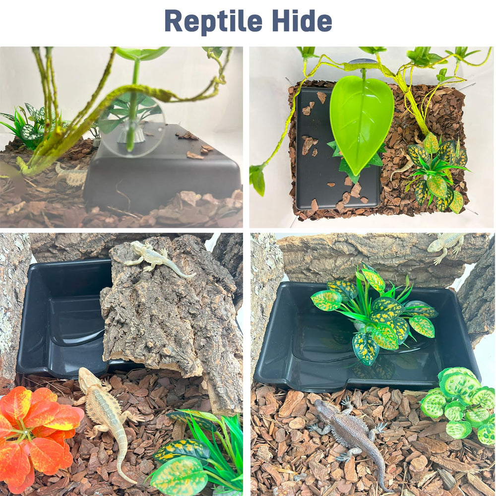 FCALIVV Humid Hideout Cave in-terrarium displaying seamless integration