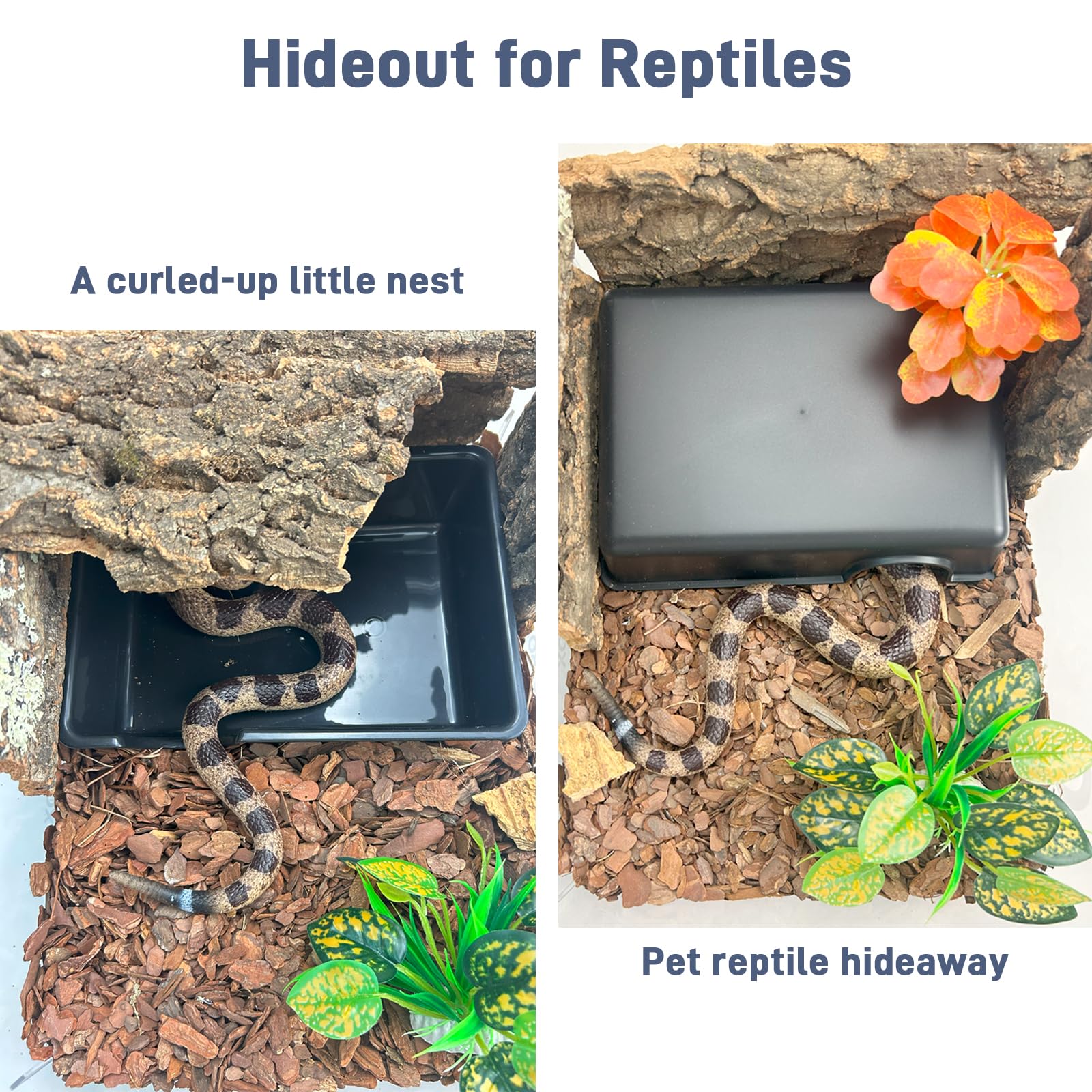 FCALIVV Humid Hideout Cave small-size ideal for hatchlings and juveniles