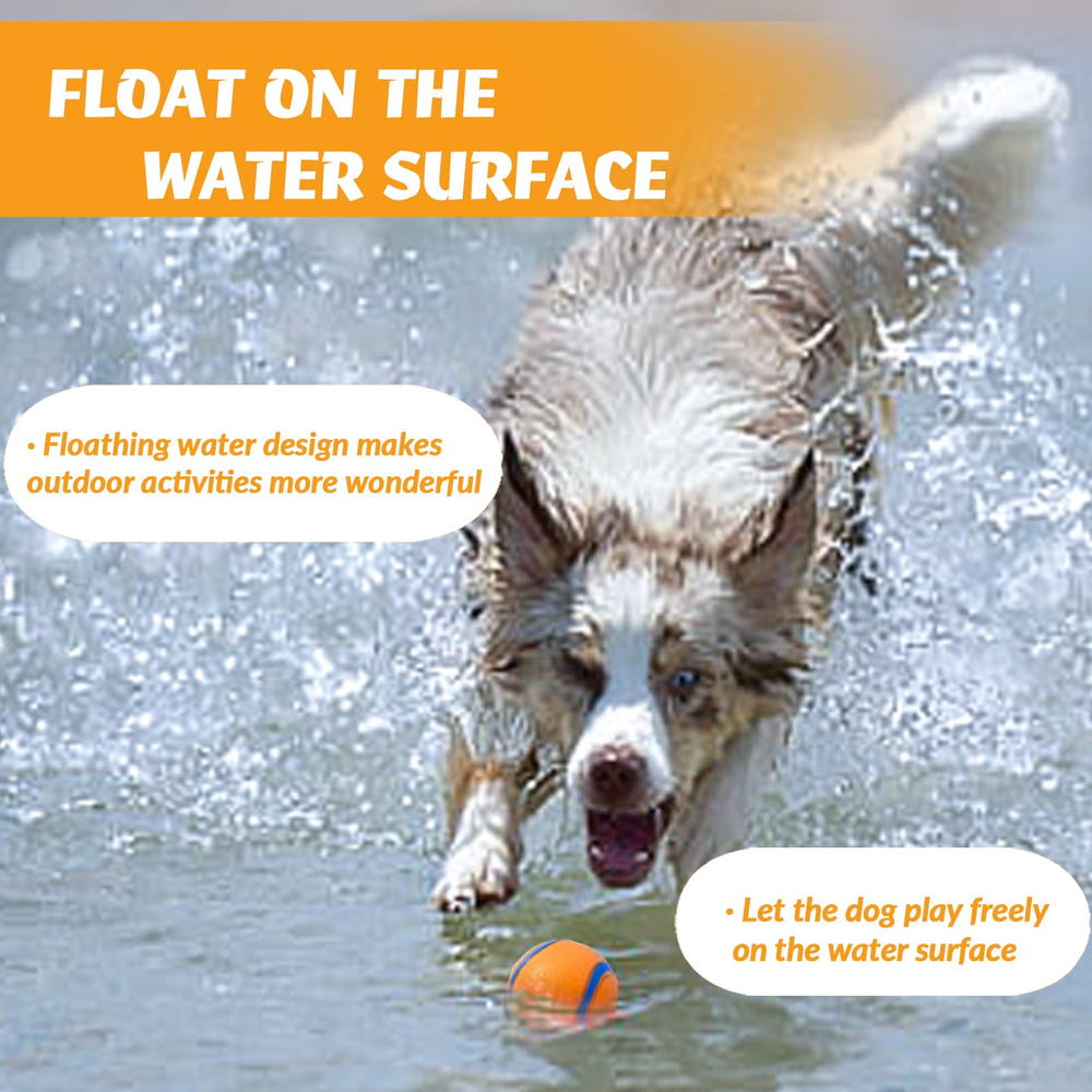FCCUM floating water toy for beach or pool adventures