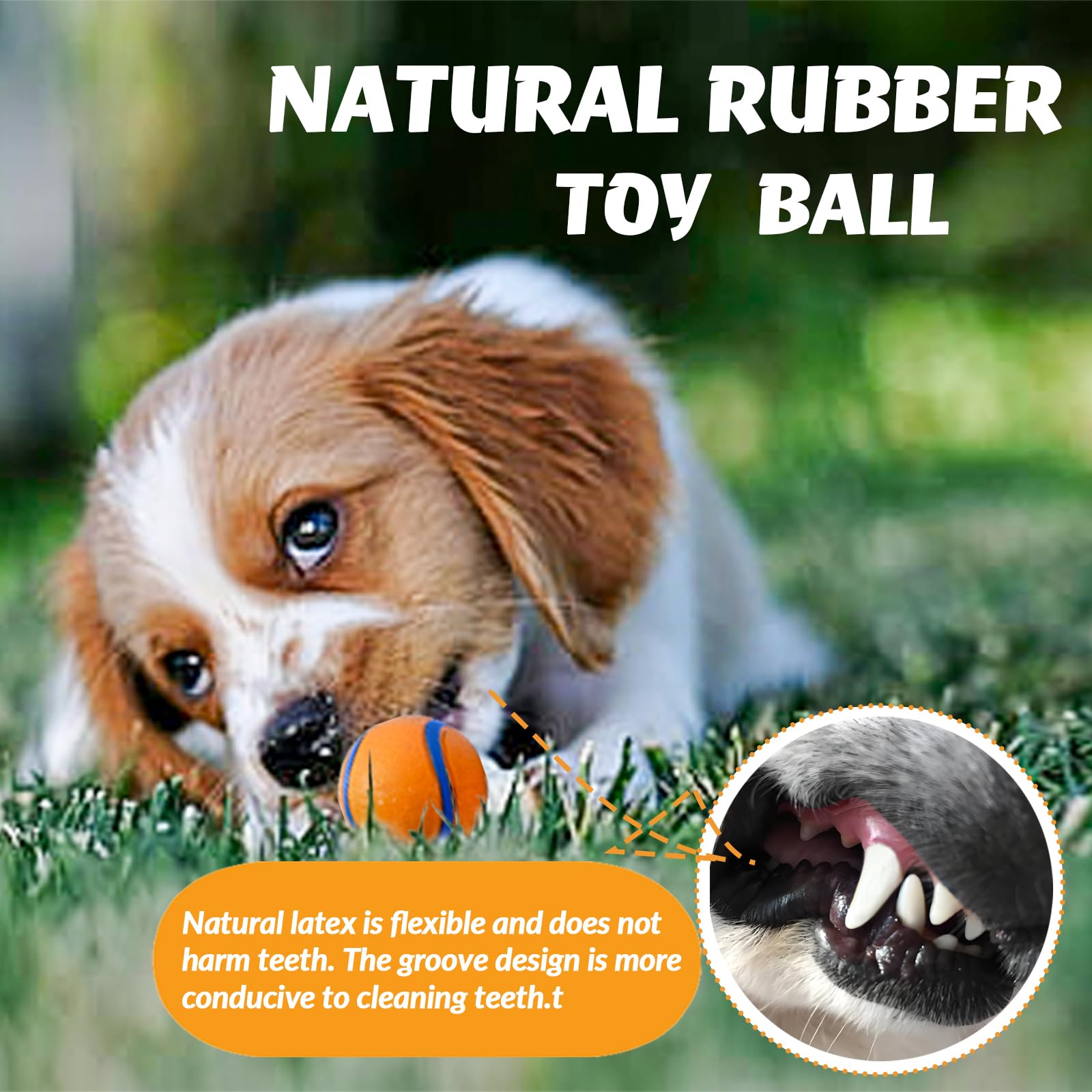 FCCUM groove design supports teeth-cleaning action during play