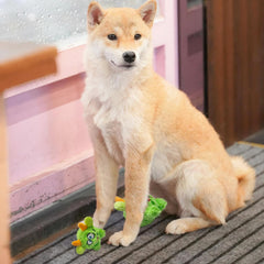 FCCUM plush squeaky dog toy ball green side view promotes interactive play