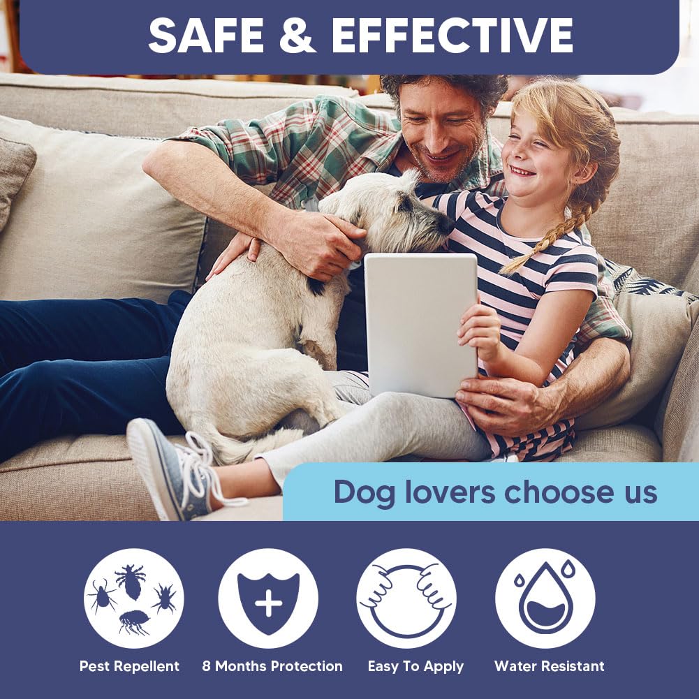 Fcesiweg dog collar during sleep, play, and walks