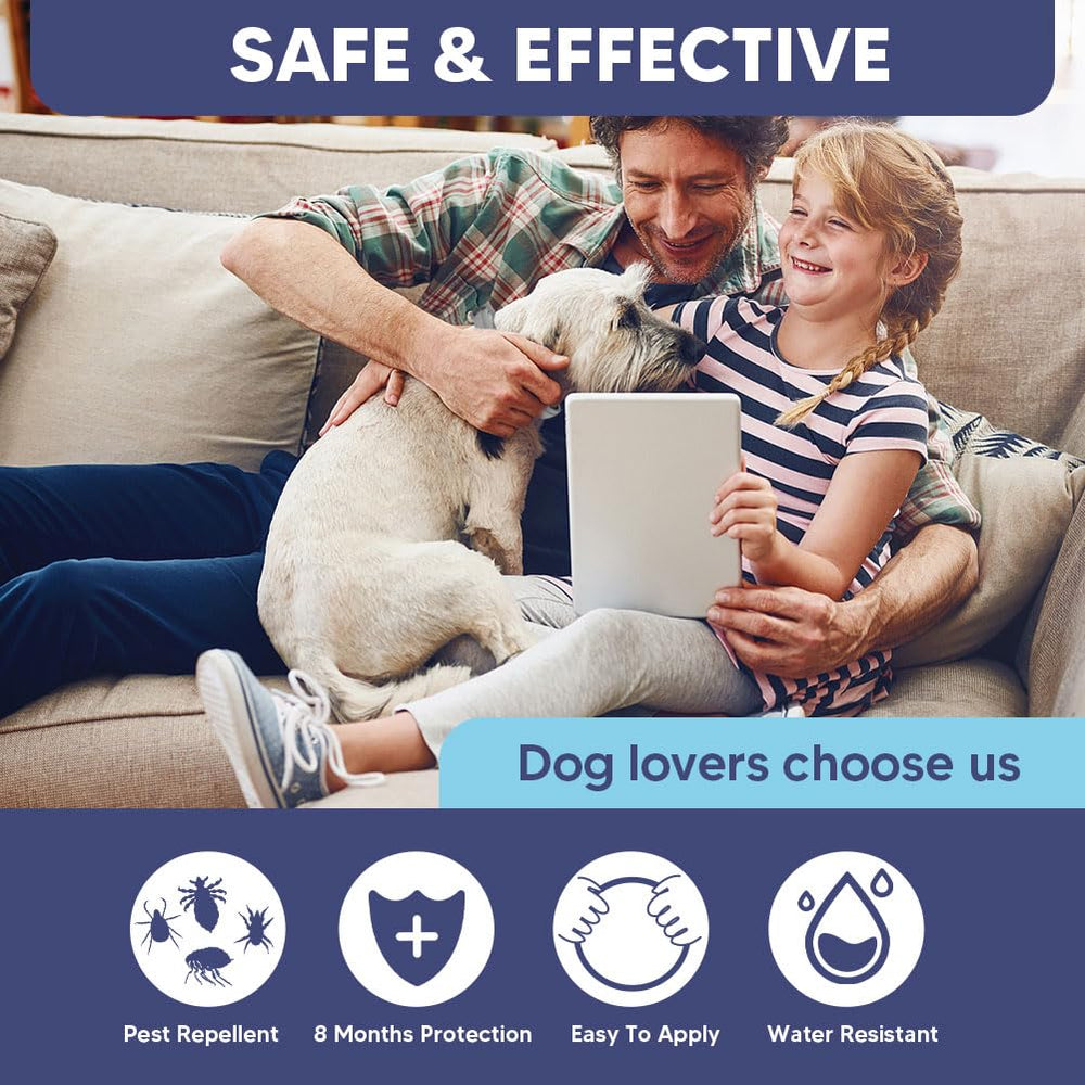Fcesiweg dog collar during sleep, play, and walks