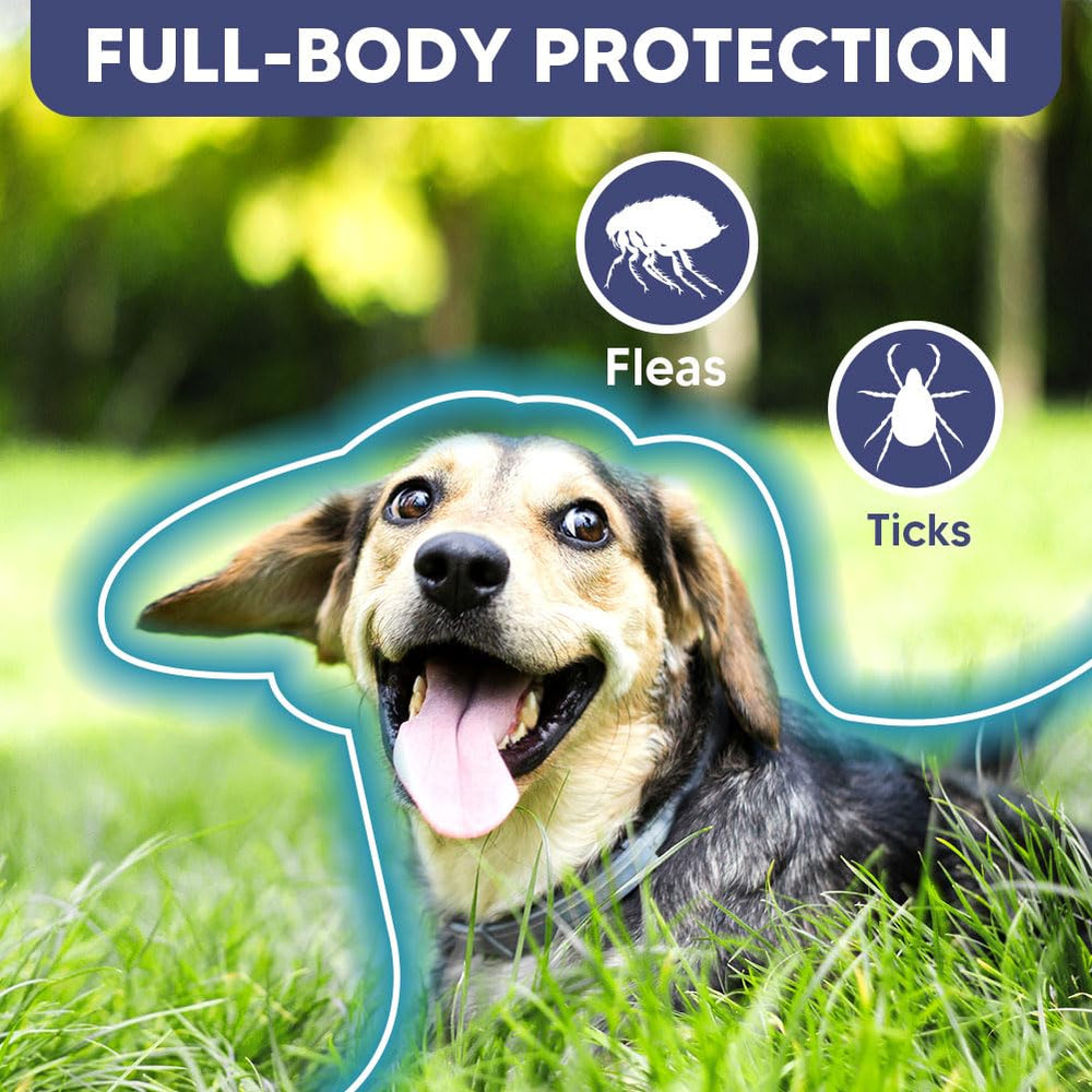 Fcesiweg dog flea collar offers up to eight months of protection