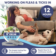 Fcesiweg plant-based dog flea collar safer for home use